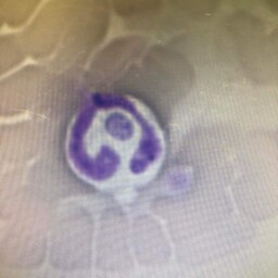 received_511959267383580