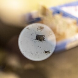 weterynarz-aura-bydgoszcz-laboratorium